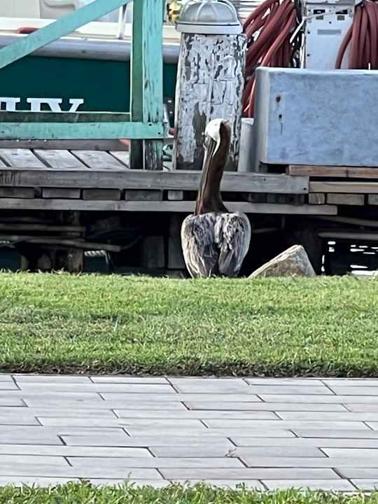 Sonstiges Manchebo Beach Resort & Spa