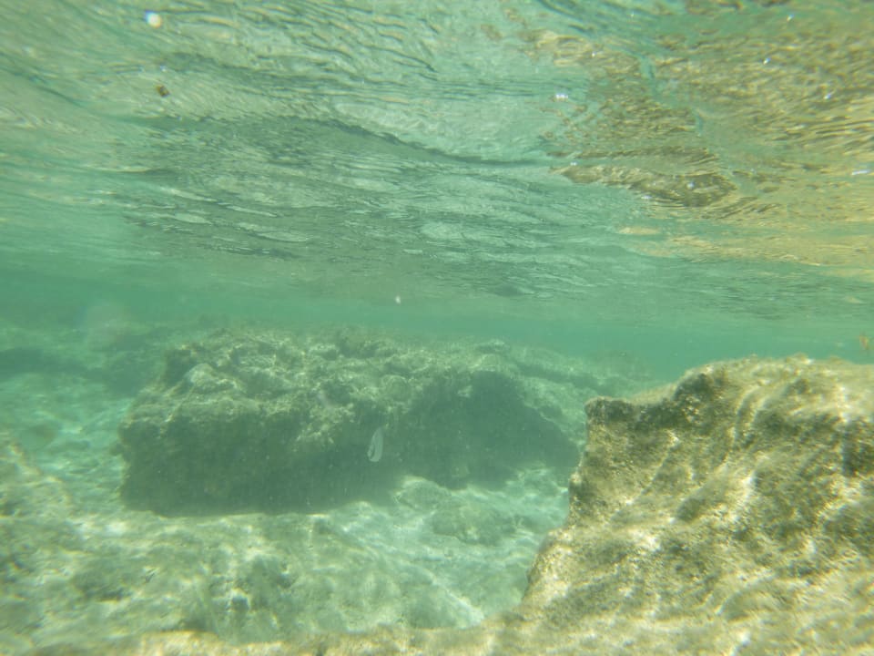 Sport & Freizeit Three Corners Sea Beach Resort