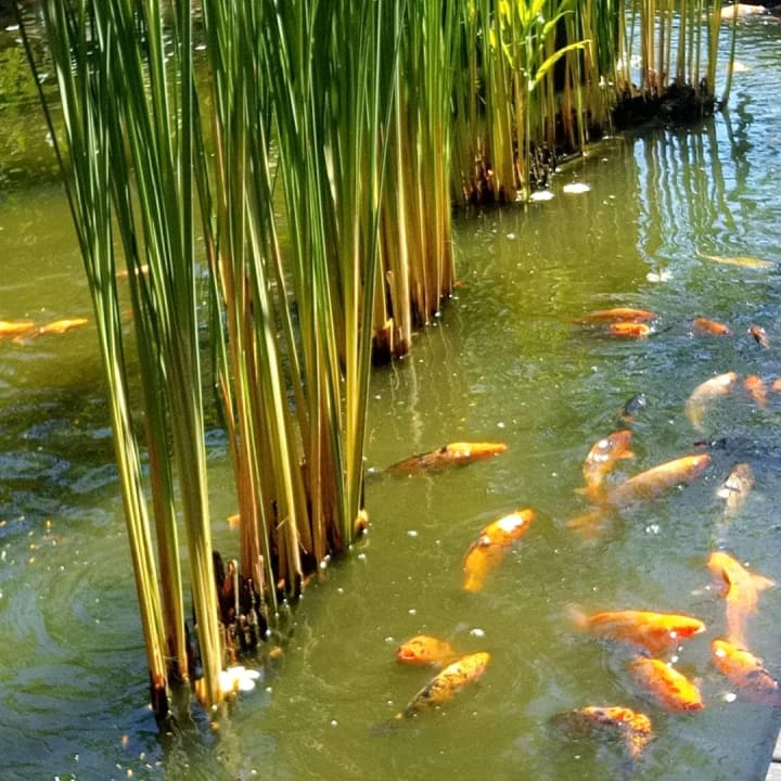 Außenansicht Bali Dynasty Resort