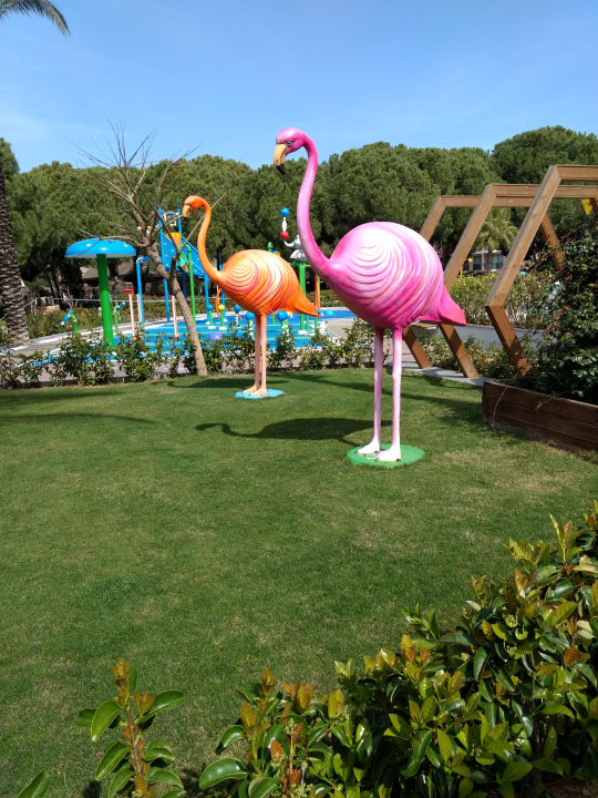 Sport & Freizeit IC Hotels Green Palace