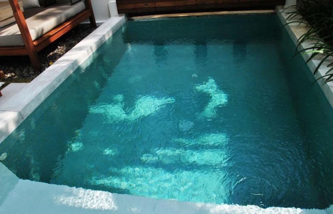 Pool - Sala Pool Villa SALA Samui Choengmon Beach Resort