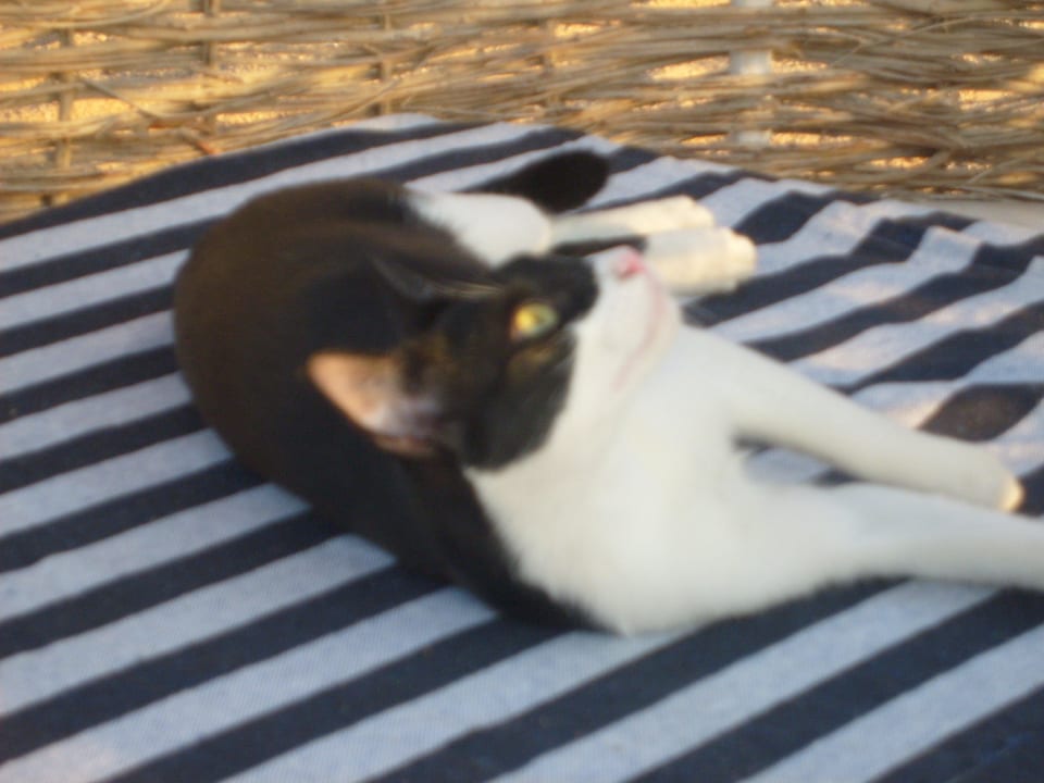 Batman am Strand The Grand Hotel Hurghada