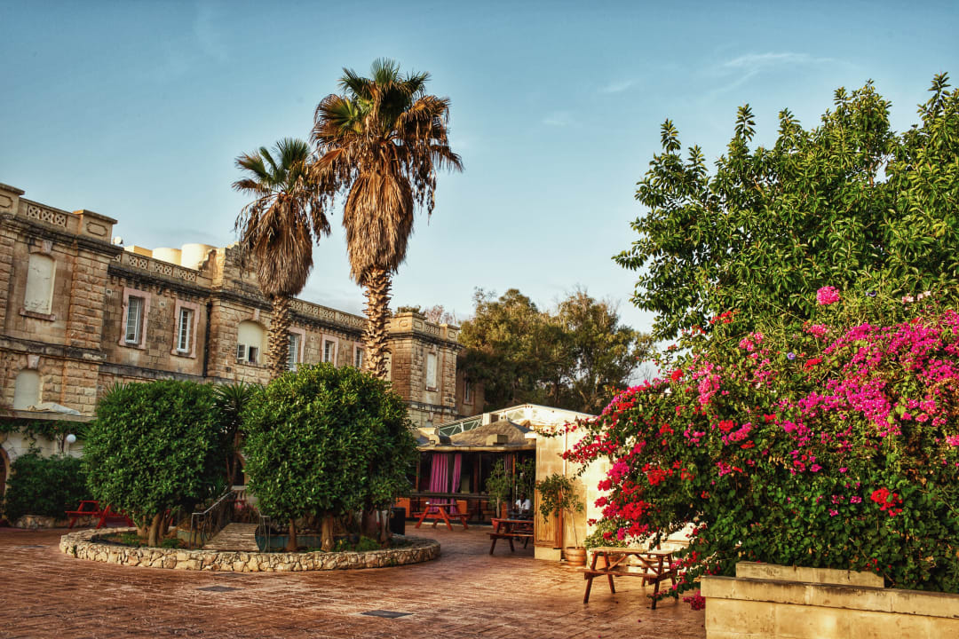 Gastro Sprachcaffe International