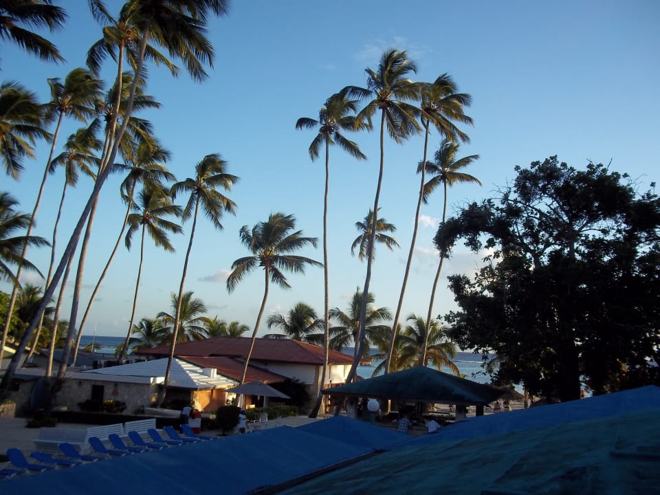Ausblick whala!boca chica