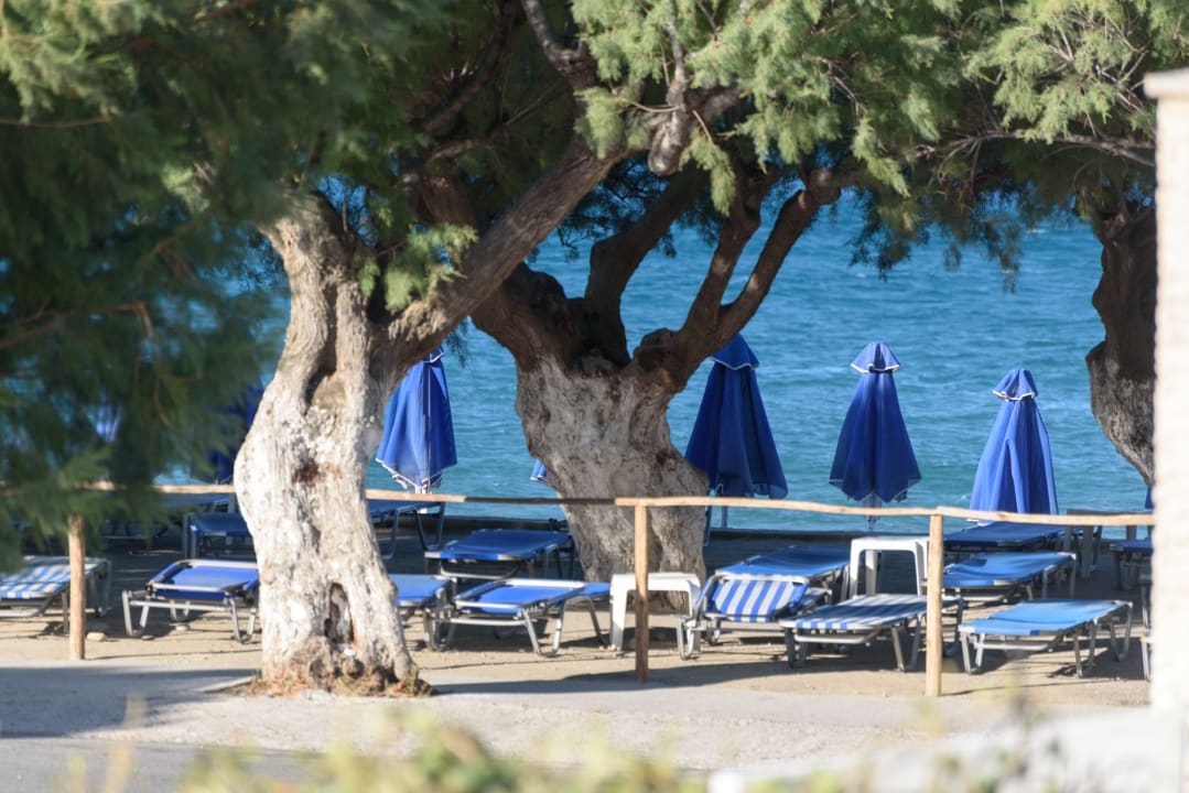 Strand Alianthos Garden Hotel