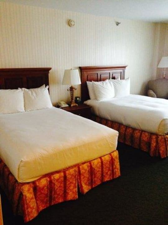 Doppelbetten Hilton Chicago/Northbrook