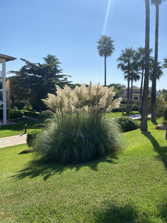 Gartenanlage Blau Colònia Sant Jordi
