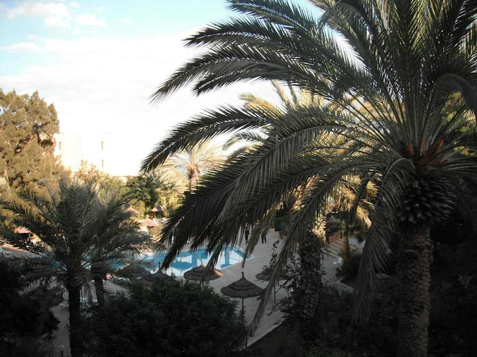 Widok z pokoju El Ksar Resort & Thalasso