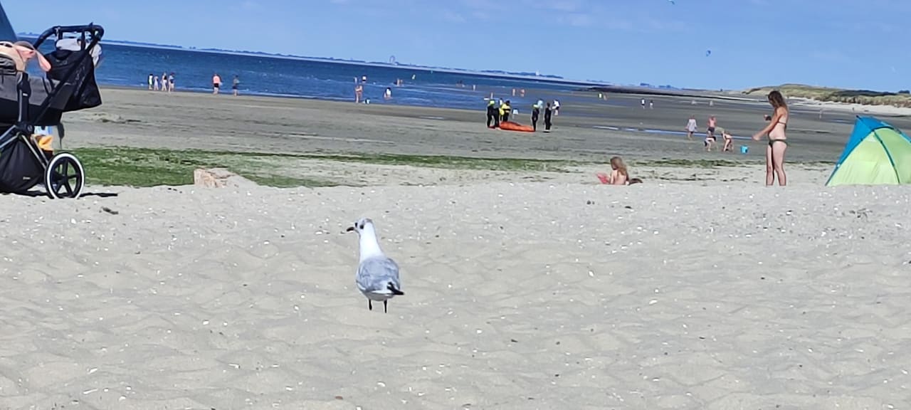 Strand Roompot Beach Resort