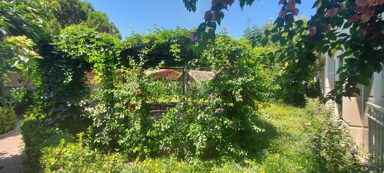 Gartenanlage Can Garden Beach