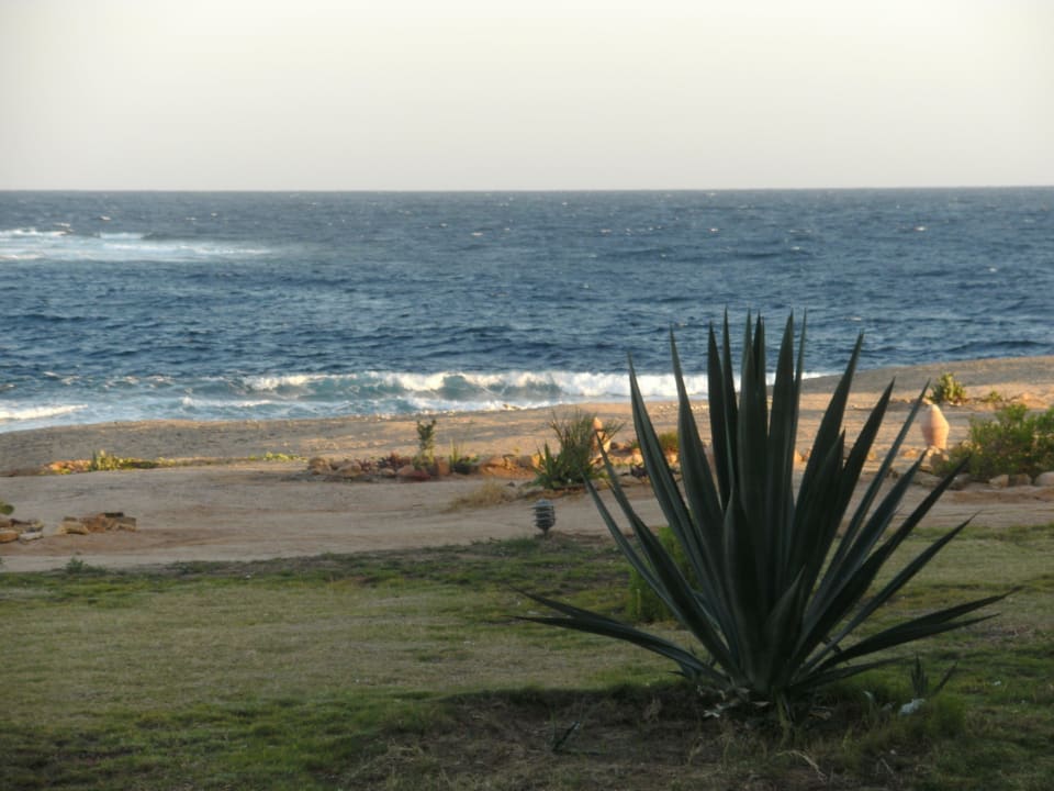 Blick vom Zimmer Coral Sun Beach