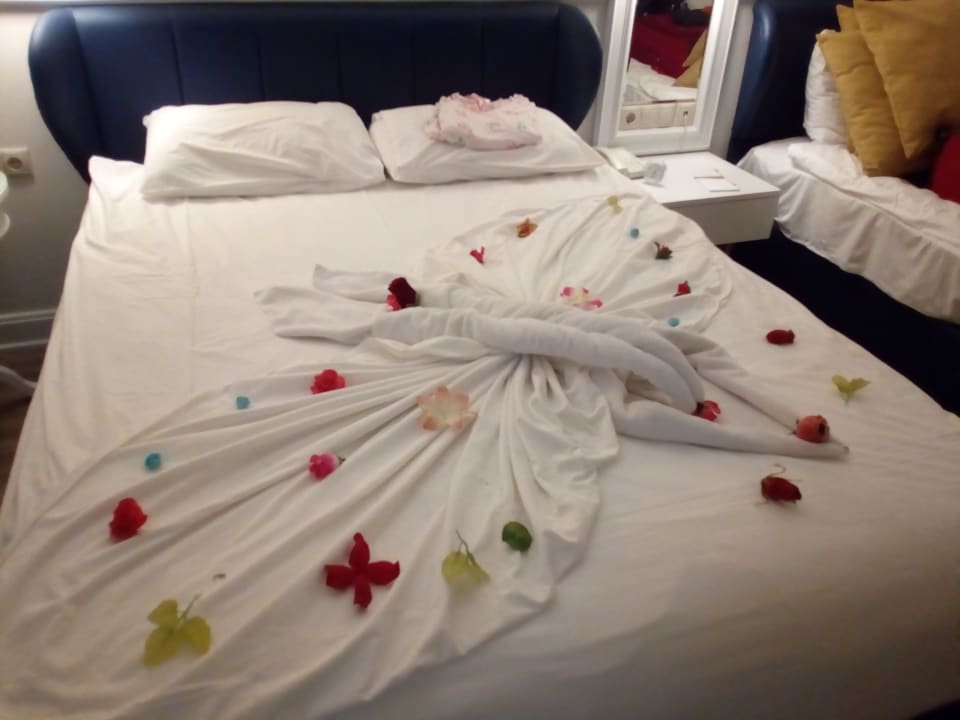 Zimmer Hotel Delphin Diva