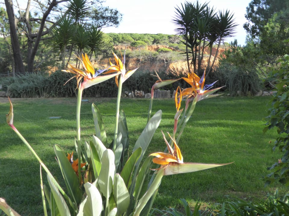 Hotel Porto Bay Falésia  PortoBay Falésia