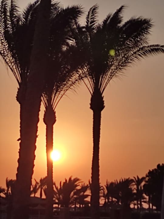 Ausblick Stella Beach Resort & Spa Makadi Bay