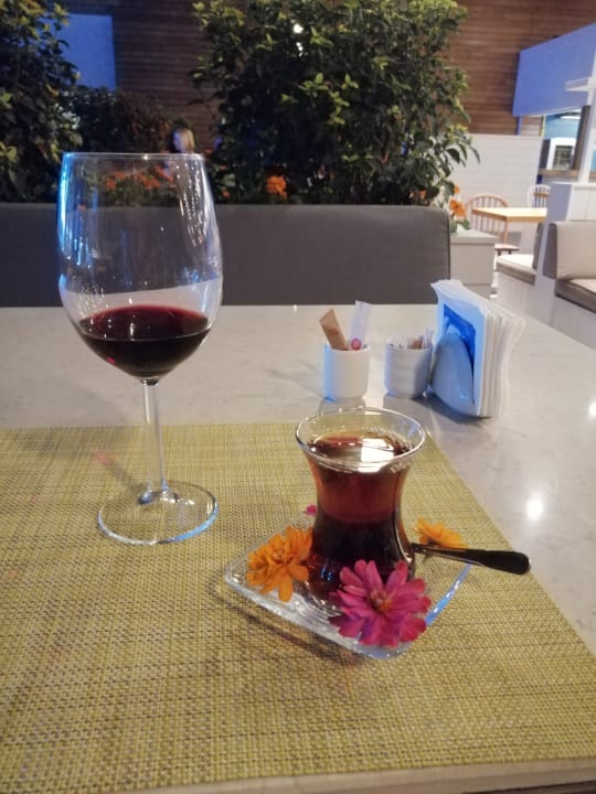 Gastro Acanthus Cennet Barut Collection