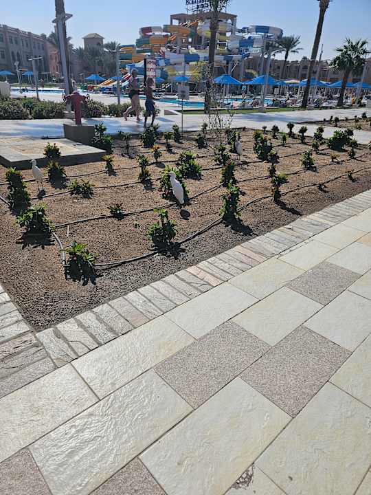 Gartenanlage Pickalbatros Aqua Park Resort - Hurghada