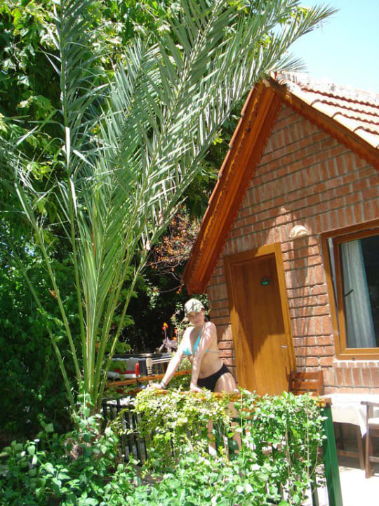 Unser Bungalow Can Garden Beach