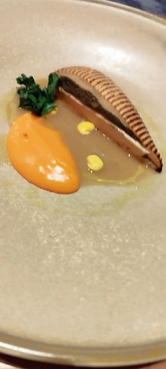 Gastro Acanthus Cennet Barut Collection