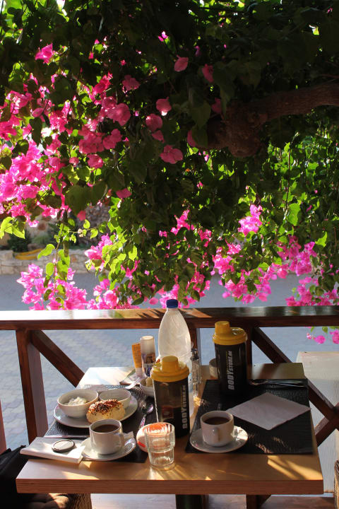 Frühstück auf dem Speisesaal-Balkon Cactus Beach