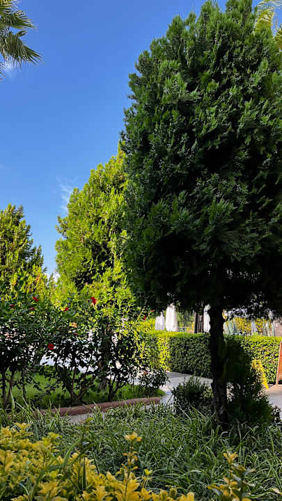 Gartenanlage Adalya Resort & Spa - Adults Only