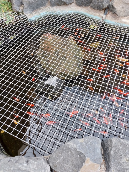 Sonstiges Hotel Panoramica Garden