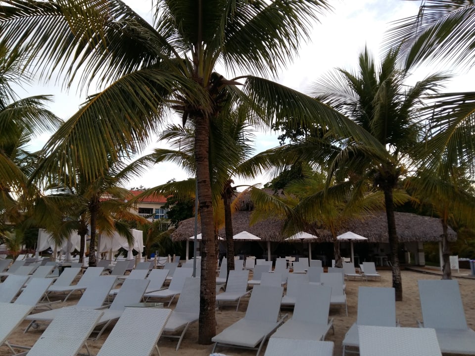 Strand Viva Heavens by Wyndham - All Inclusive Resort