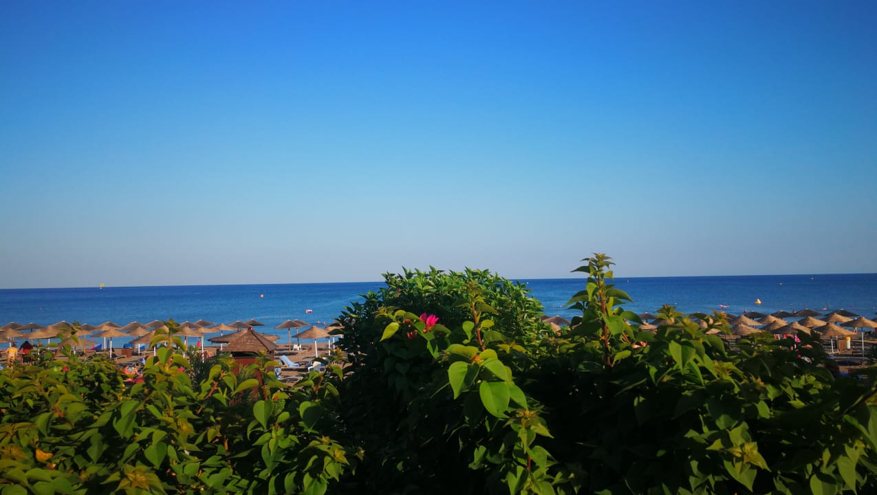 Ausblick Hotel Calypso Beach