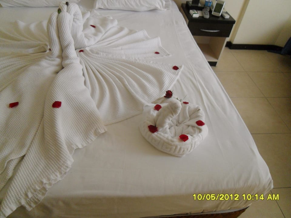 Hat die Reinigungskraft für uns gemacht  Hotel Orfeus Park