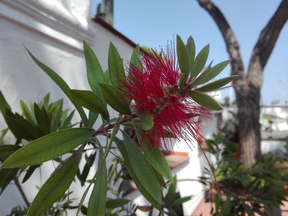 Gartenanlage Hotel Park Imperial Terme