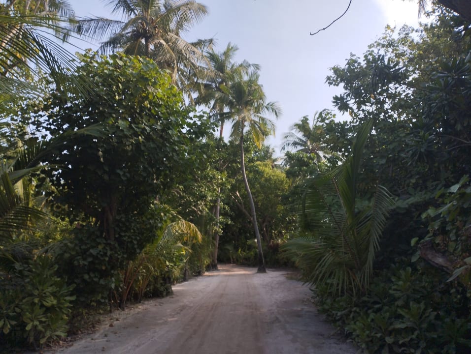 Gartenanlage Kuredu Island Resort & Spa