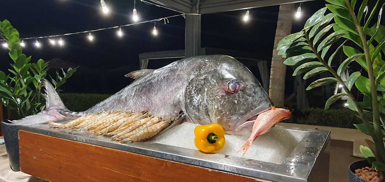 Gastro Salalah Rotana Resort