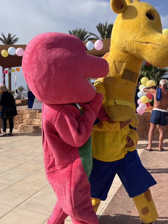 Sport & Freizeit Three Corners Sea Beach Resort