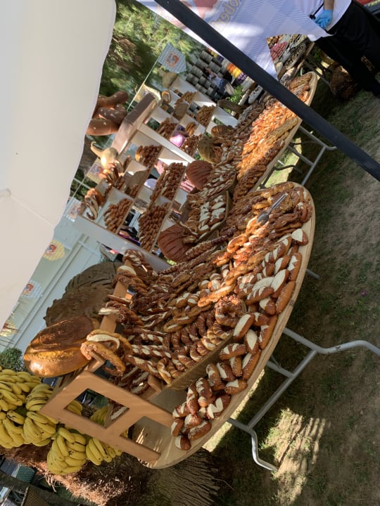 Gastro PALOMA Perissia