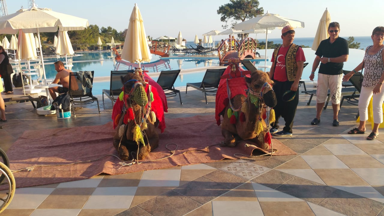Türkischer Abend Litore Resort & Spa