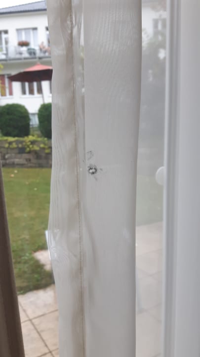 Zimmer Best Western Premier Park Hotel & Spa