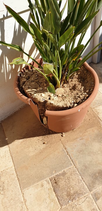 Sonstiges Chapel 5 Palazzo Suites B&B