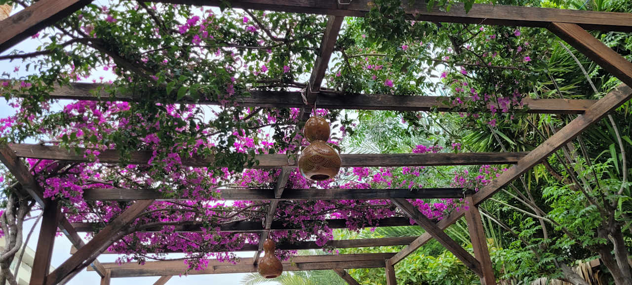 Gartenanlage Telatiye Resort