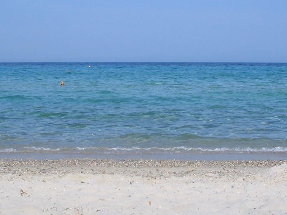 traumhafter Strand direkt am Hotel Pallini Beach Hotel