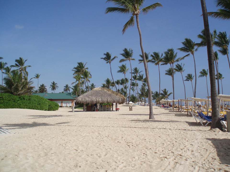 Strandbar unter Palmen Ocean Blue & Sand