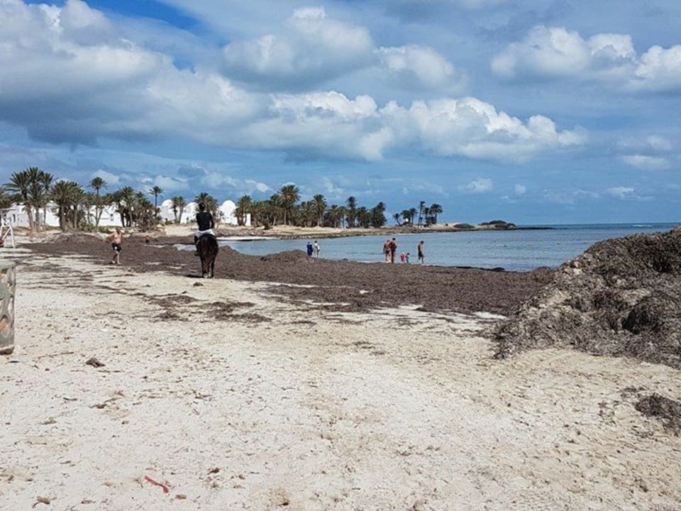 Strand Hotel El Mouradi Djerba Menzel