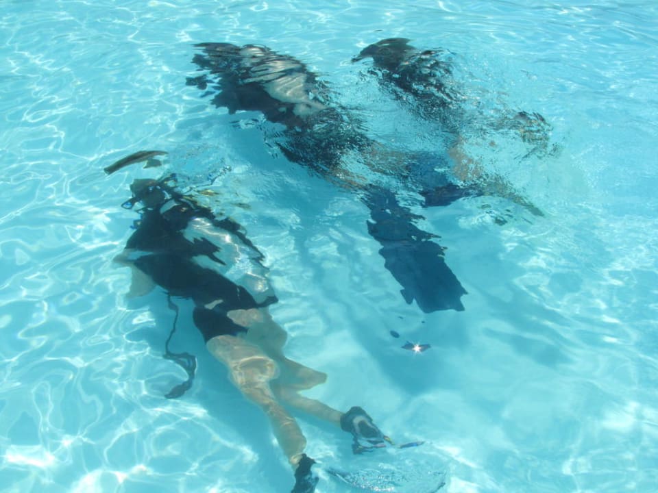 Essam Aldin vom Titanic Diving Center  Titanic Beach Spa & Aqua Park