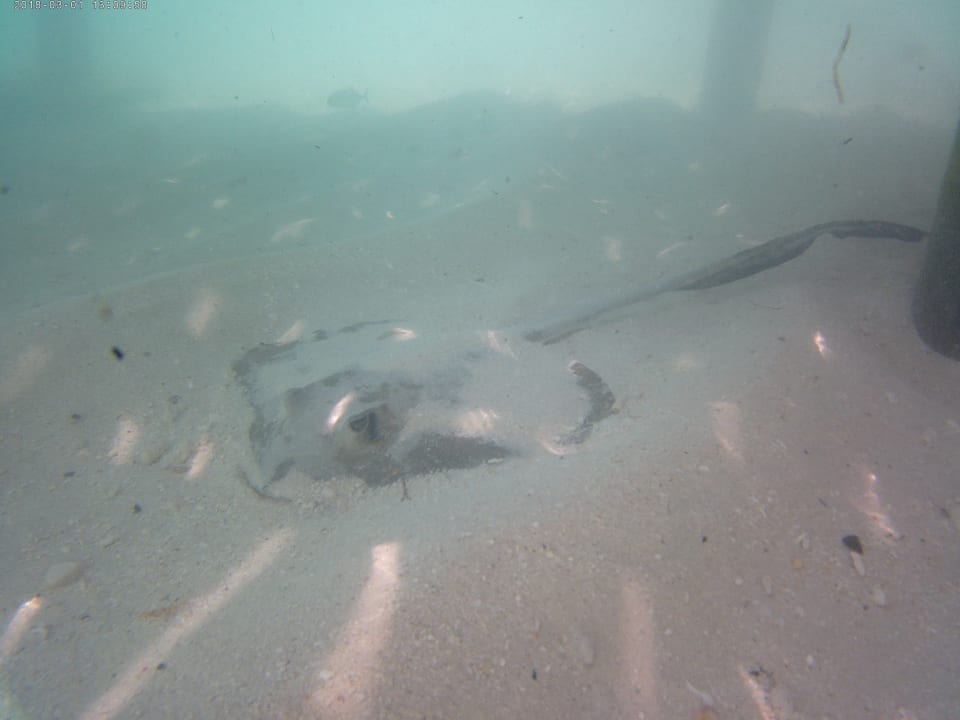 Sonstiges Centara Ras Fushi Resort & Spa Maldives