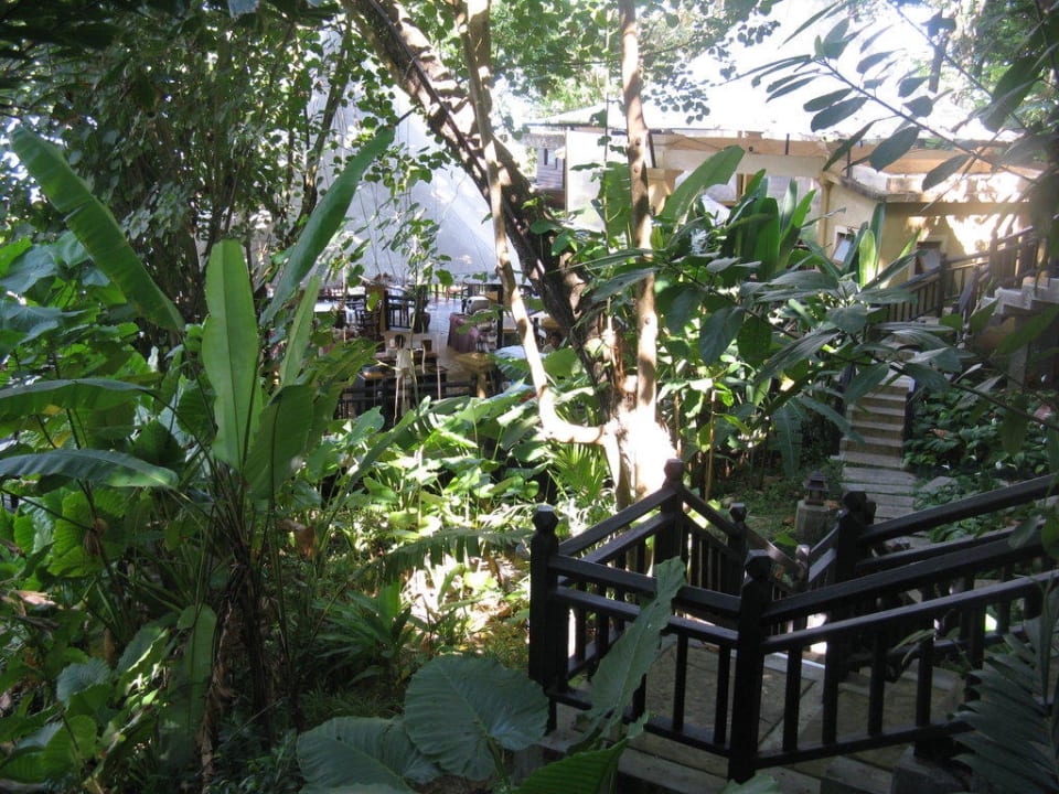 Zur Frühstücksterrasse Moracea by Khao Lak Resort