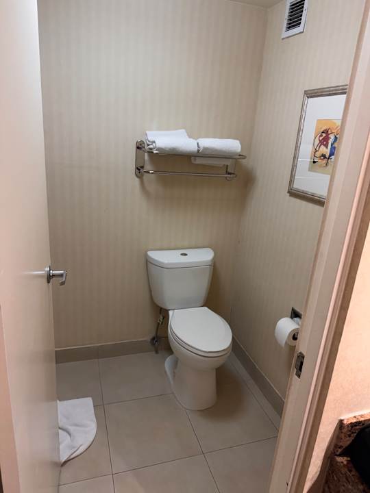 Zimmer Holiday Inn Express & Suites Anaheim Resort Area