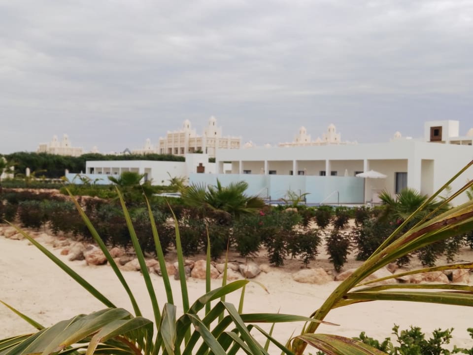 Ausblick Hotel Riu Palace Boavista