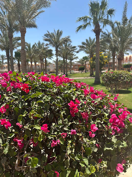 Pool Three Corners Sea Beach Resort