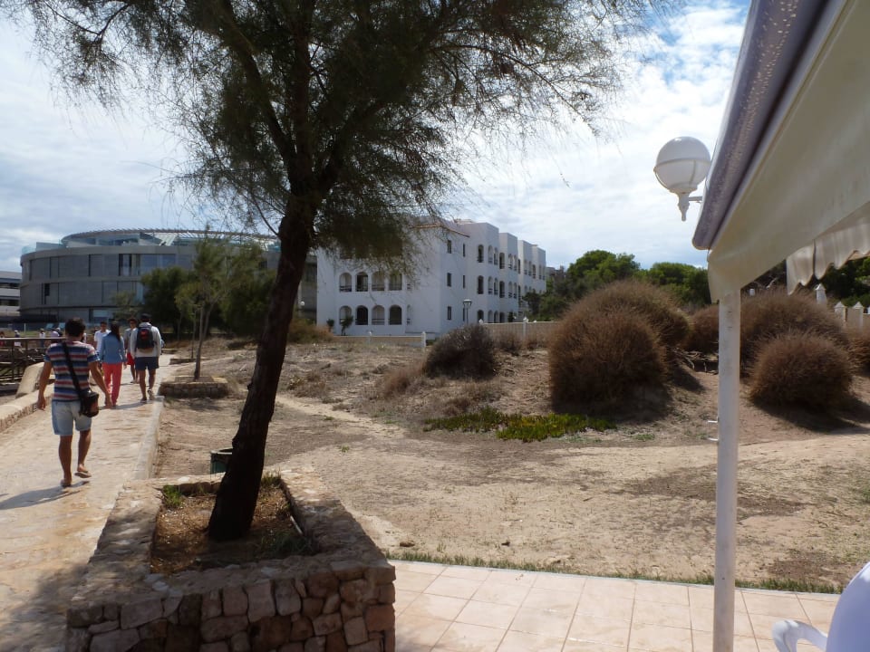 Vom Meer aus gesehen Hotel Arrecife