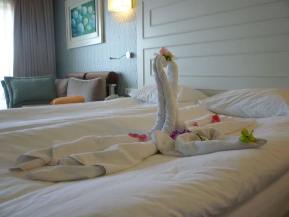 Schöne Schwäne Sentido Trendy Verbena Beach