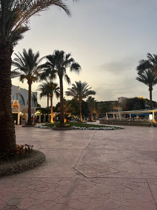 Außenansicht Desert Rose