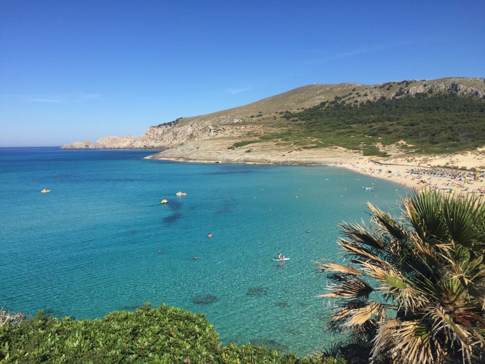 Ausblick VIVA Cala Mesquida Resort & Spa